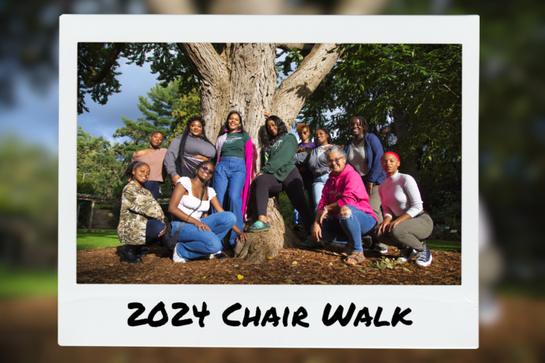 Read more about the article 2024 Chair Walk